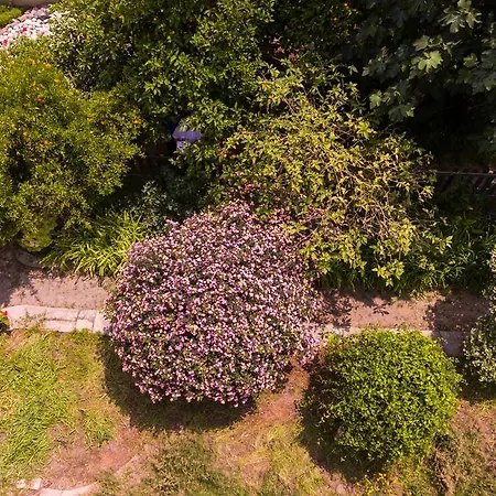 Double Nikosia